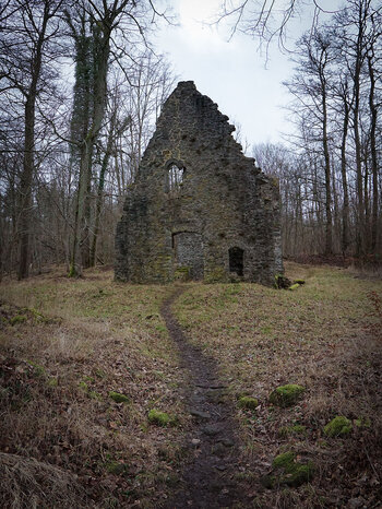 ein Pfad führt zu der Kirchenruine Ruthardshausen