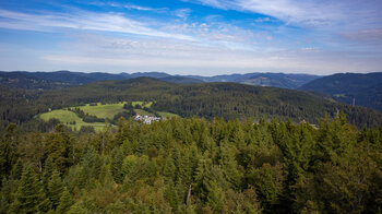 Blick vom Lehenkopfturm bis zum Feldberg