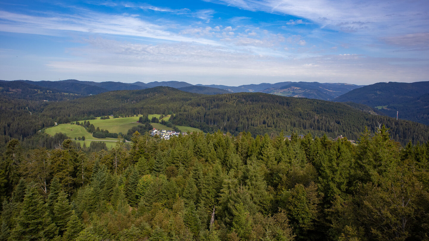 Blick vom Lehenkopfturm bis zum Feldberg