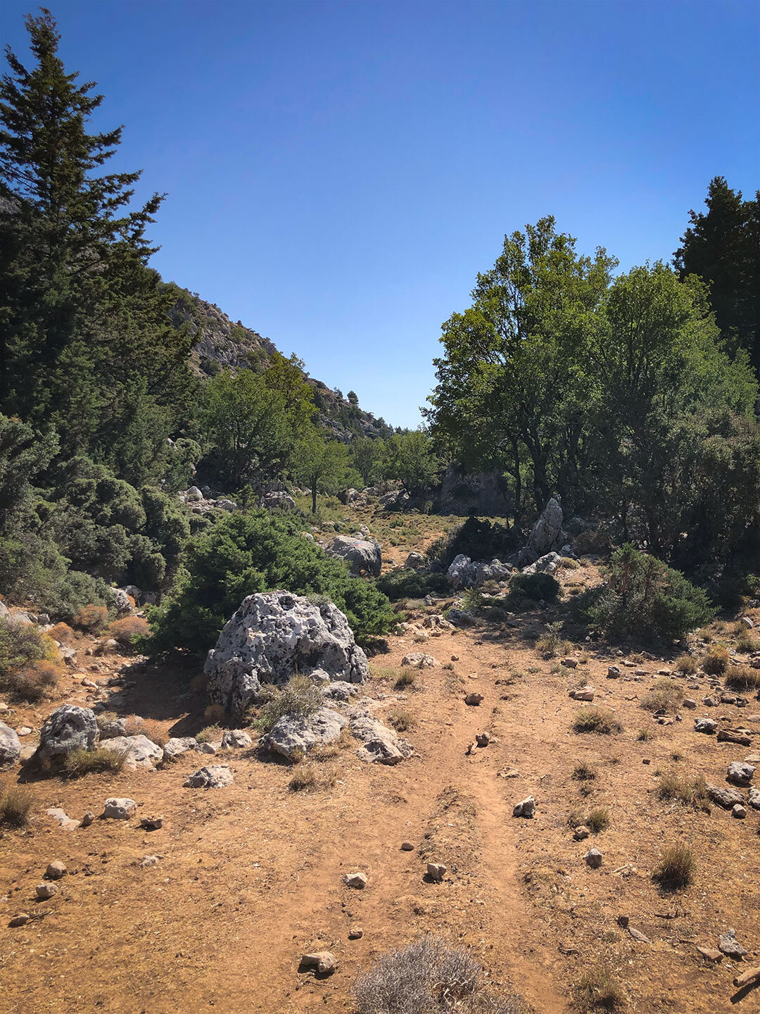 die Wanderung führt auf alten Hirtenpfaden von Omalos nach Lakki auf Kreta die Wanderung führt auf alten Hirtenpfaden von Omalos nach Lakki