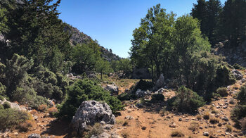 entlang des Weges ragen karstige Felsen aus dem Boden
