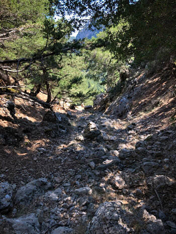 schattiger Abschnitt des Hirtenpfads nach Lakki
