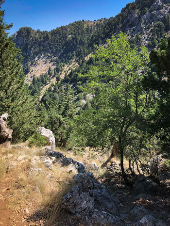 auf dem Weg nach Lakki eröffnet sich ein Schluchtenpanorama