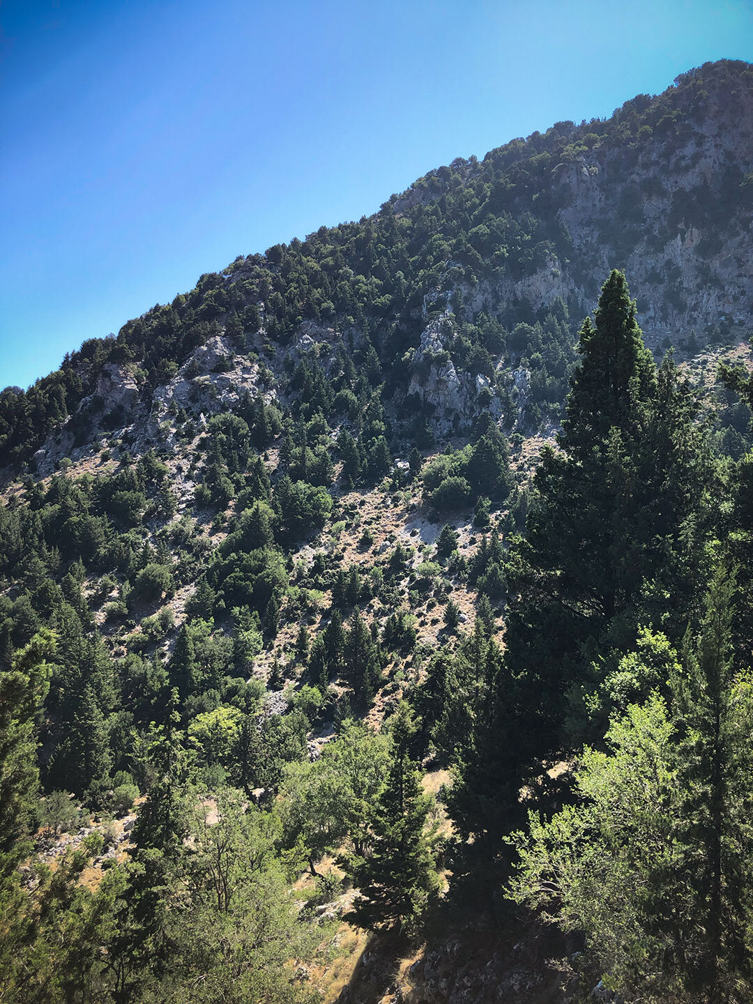 Bergpanorama am alten Verbindungspfad durch die Lefka Ori Bergpanorama am Verbindungspfad durch die Lefka Ori