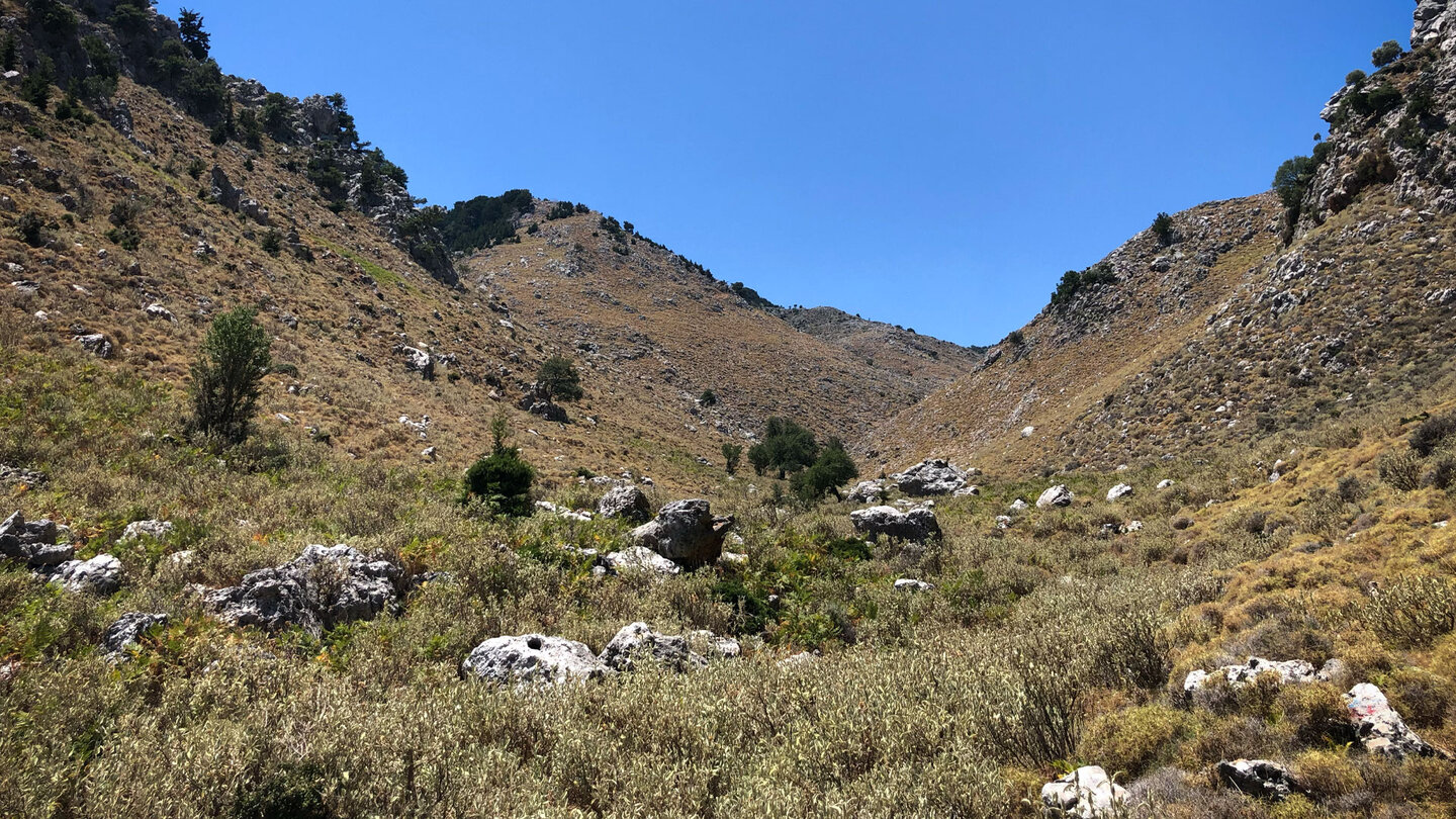 das Tal des wilden Salbei auf dem alten Hirtenweg zwischen Omalos und Lakki auf Kreta Tal des wilden Salbei auf dem Weg zwischen Omalos und Lakki auf Kreta