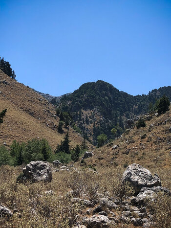 im Tal des wilden Salbei auf Kreta