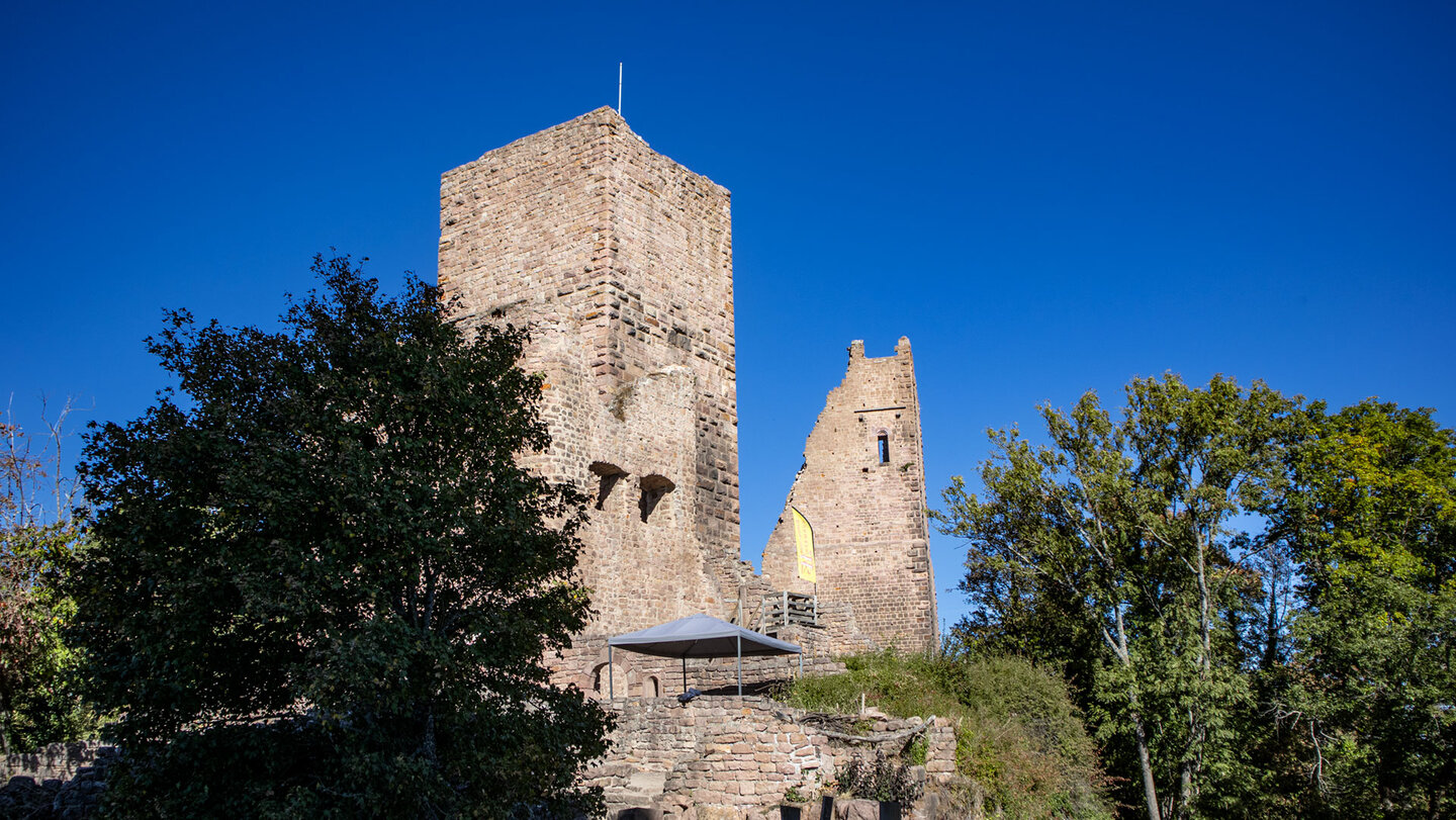 Burgruinen der Drei Egsen im Oberelsass: mächtiger Turm neben einer Ruinenwand unter wolkenlosem Himmel