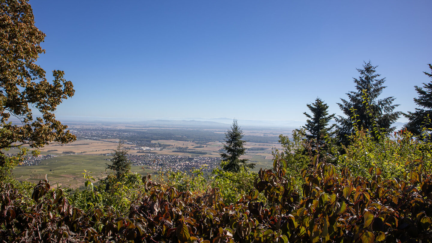 Aussicht von den Burgruinen bei Eguisheim auf Dörfer, Felder und Rheinebene bis zum Horizont