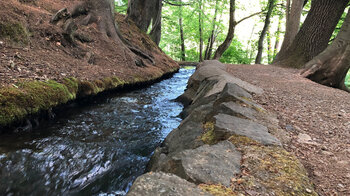 Wasserfallgraben direkt neben dem Wanderweg