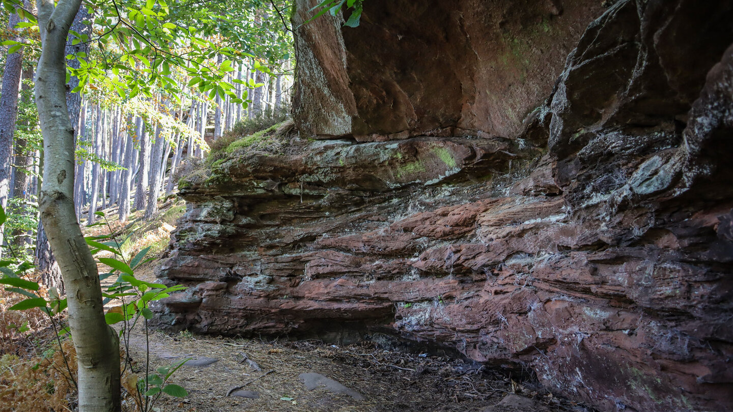 Buntsandstein am Hahnfels im Dahner Felsenland