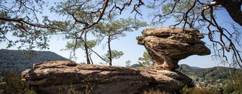 Buntsandsteintürmchen am Bänderfels auf dem Hahnberg