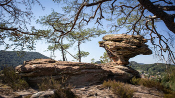 Buntsandsteintürmchen am Bänderfels auf dem Hahnberg