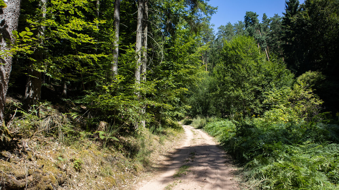 Rundwanderweg Erfweiler 53 Richtung Glastal