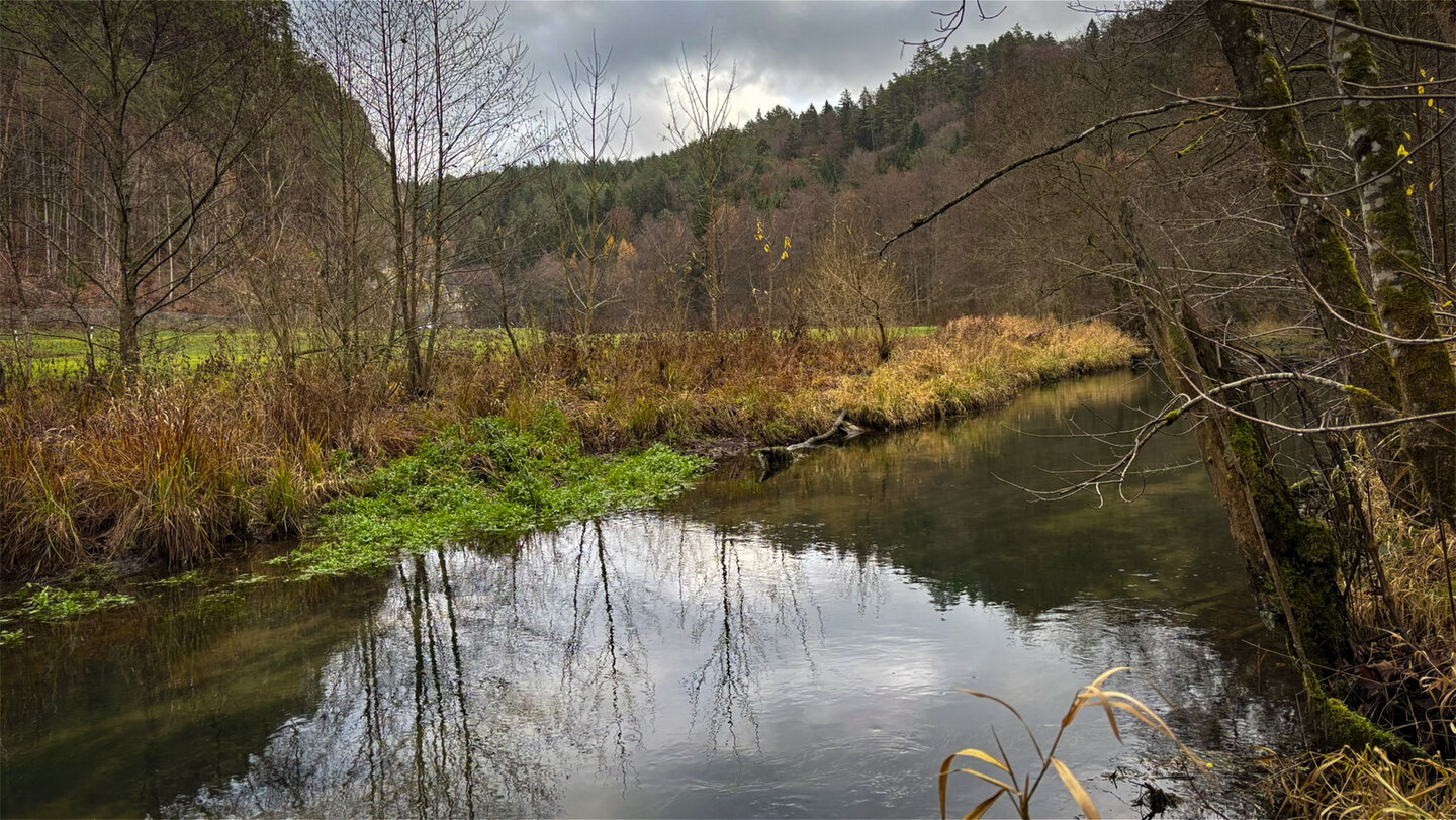 Die Püttlach begleitet die Wanderung von Kleinlesau nach Pottenstein still durchs Tal.