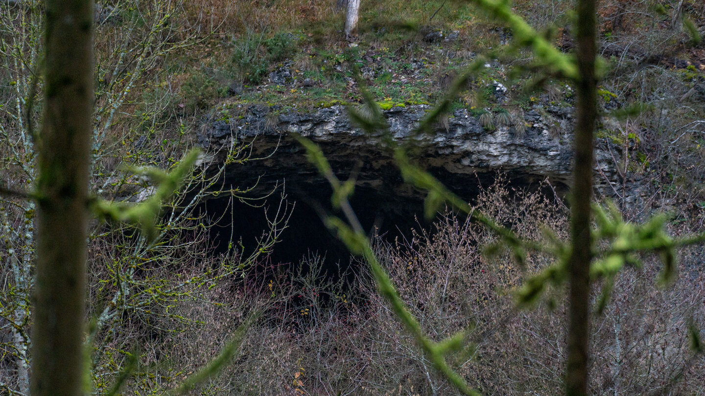 Eingestürzte Höhle im Püttlachtal bei Pottenstein, Fränkische Schweiz.
