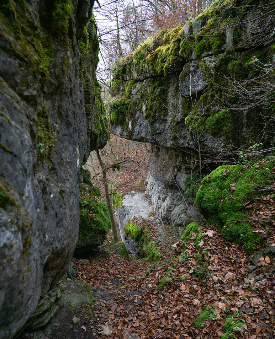 Wanderweg entlang der Felsen bei Pottenstein, Fränkische Schweiz.