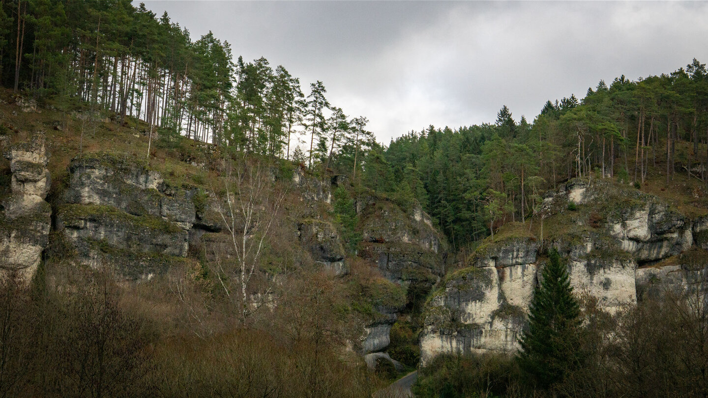 Kalksteinfelsen in der Bärenschlucht bei Pottenstein, Fränkische Schweiz.