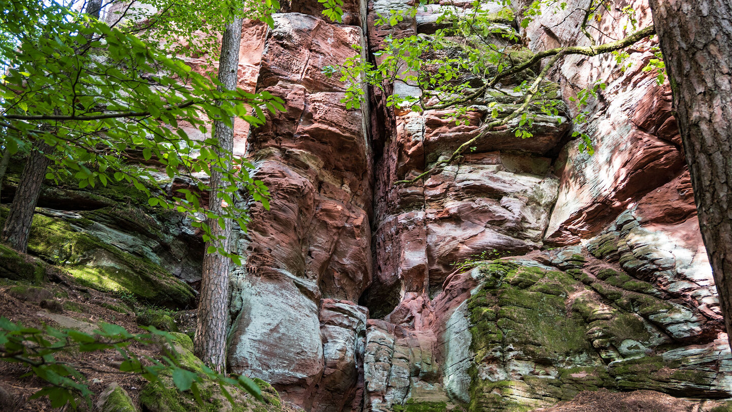 Buntsandsteinfelsen Geierstein am Bärensteig bei Bruchweiler-Bärenbach Buntsandsteinfelsen Geierstein am Bärensteig bei Bruchweiler-Bärenbach
