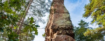 der imposante Bruchweiler Geierstein im Dahner Felsenland
