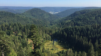 Aussichtpunkt Ellbachseeblick