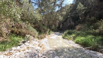 Wandern am Flussbett des Río Higuerón in der Provinz Málaga