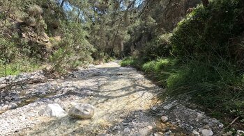 Wanderung durchs Bachbett des Río Higuerón
