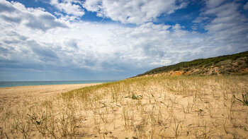 Dünenlandschaft bei la Breña y Marismas de Barbate