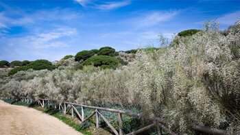 sandiger Weg des Sendero Acantilado