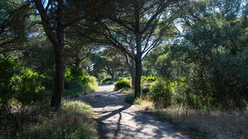 Wanderroute auf dem Sendero Acantilado