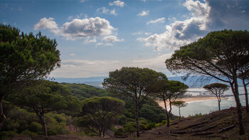Blick auf den Hafen von Barbate