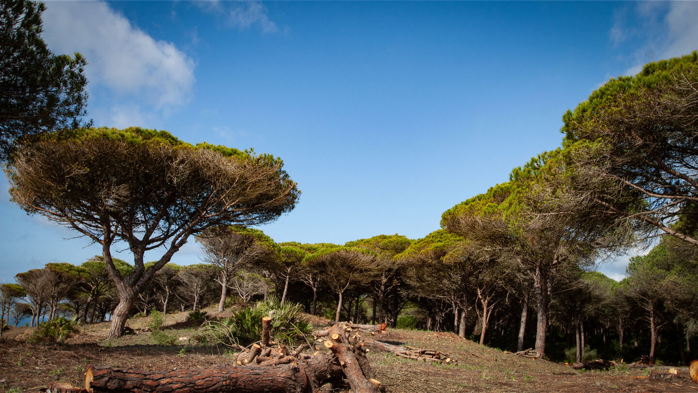 Route von Barbate nach Canos de Meca