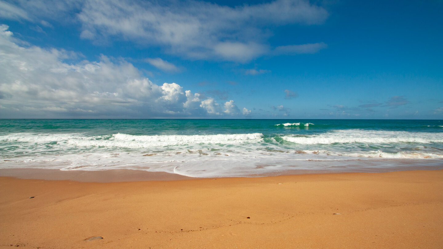 Playa de los Castillejos