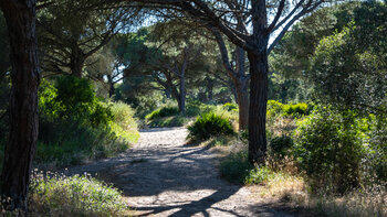 Wanderweg von Barbate nach Los Caños de Meca