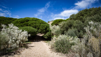 Wanderweg vom Strand