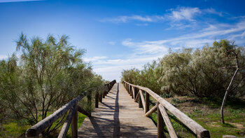 Holzsteg der Playa de la Hierbabuena