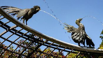 wasserspeiende Vögel im Schwetzinger Schlossgarten