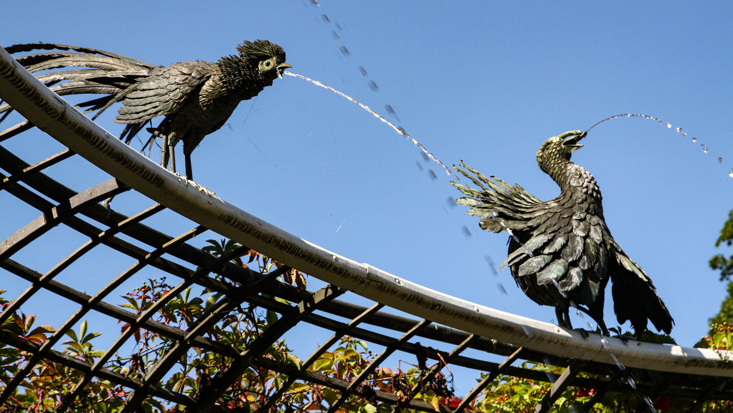 wasserspeiende Vögel im Schwetzinger Schlossgarten wasserspeiende Vögel im Schwetzinger Schlossgarten