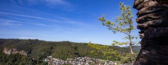 Blick vom Kreuzelfelsen über Hauenstein mit roten Dächern im Tal, geschichtetem Felstürmchen rechts und Kiefer davor, gegenüber Burghalder Felsen im bewaldeten Hang