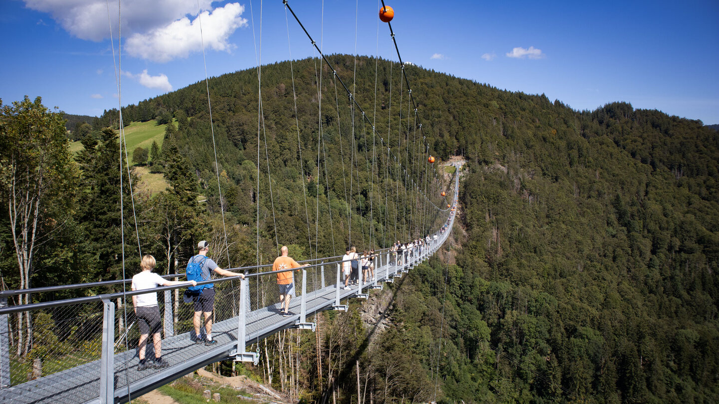 die Blackforestline Hängebrücke nahe dem idyllischen Städtchen Todtnau