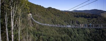 Blick entlang der Blackforestline Hängebrücke bei Todtnau