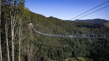 Blick entlang der Blackforestline Hängebrücke bei Todtnau