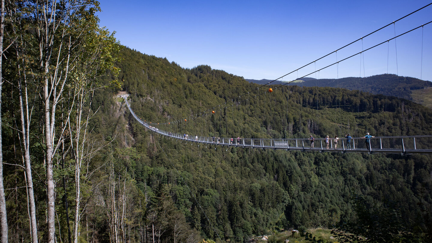 Blick entlang der Blackforestline Hängebrücke bei Todtnau