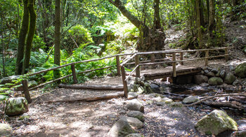 Querung des Bachs El Cedro über eine Holzbrücke