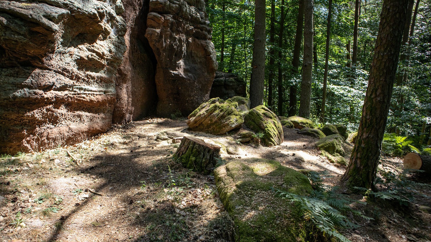 Wanderpfad zum Pferchfeldturm.