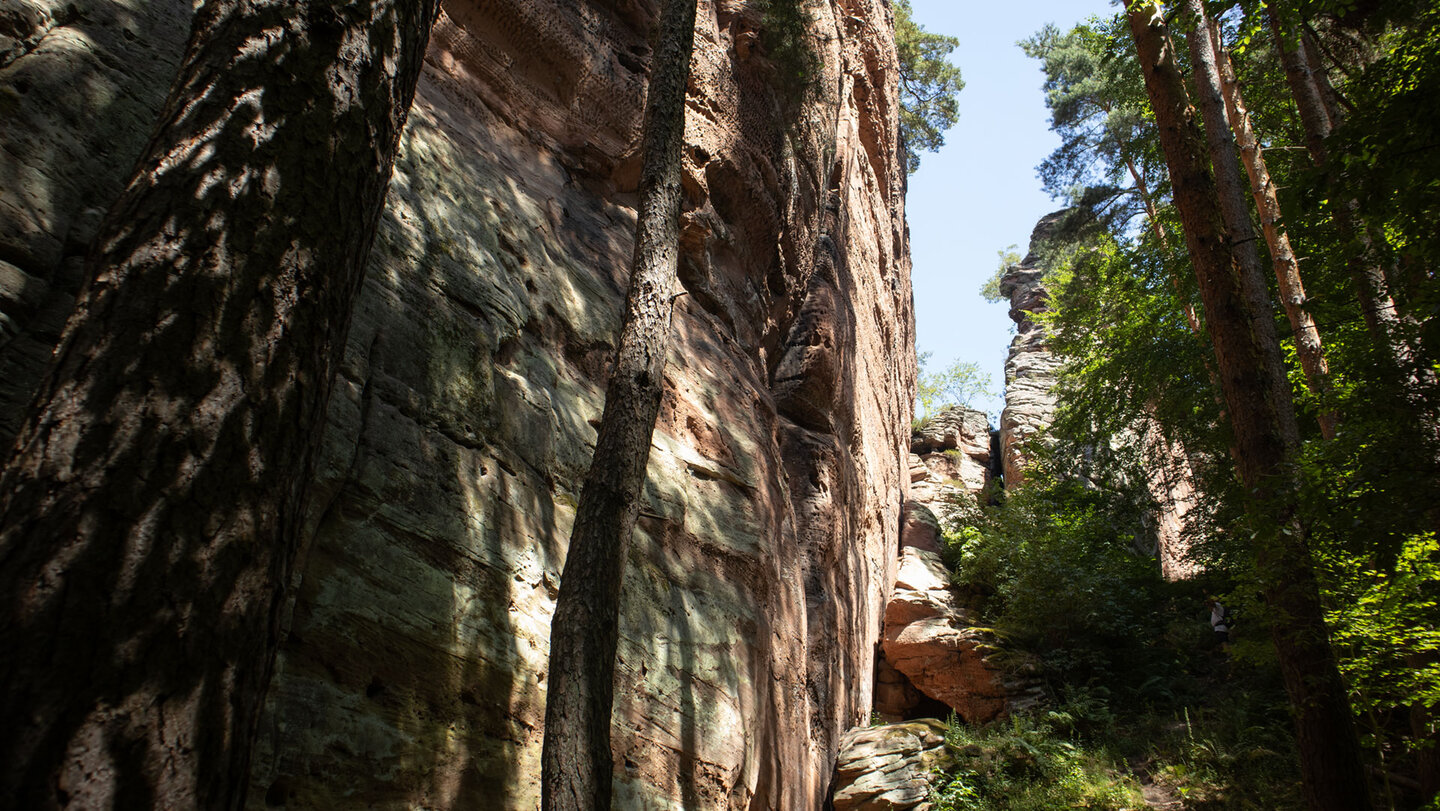 Das Buntsandsteinriff des Langwalderfelsen.
