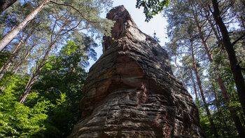 Schlank und hoch ragt der Pferchfeldturm aus dem Wald empor.
