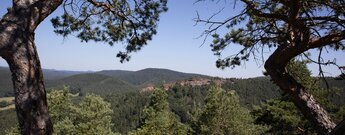 Blick vom Löffelsberg auf das Felsriff der Langwalderfelsen.