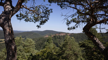 Blick vom Löffelsberg auf das Felsriff der Langwalderfelsen.