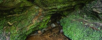 Quellaustritt der Eibachquelle in einer moosbewachsenen Felsnische mit klarem Wasser über Kieselsteinen