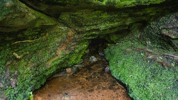 Quellaustritt der Eibachquelle in einer moosbewachsenen Felsnische mit klarem Wasser über Kieselsteinen